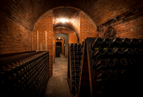 Franco Ambrosetti | Cantina vitivinicola